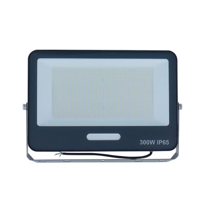 केसीडी मोशन सेंसर आउटडोर एक्सप्लोजन प्रूफ एलईडी फ्लड लाइट 100W स्मार्ट मरीन गार्डन फ्लडलाइट